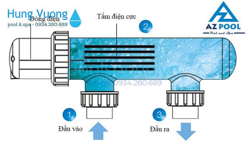 dienphanmuoiso3 result