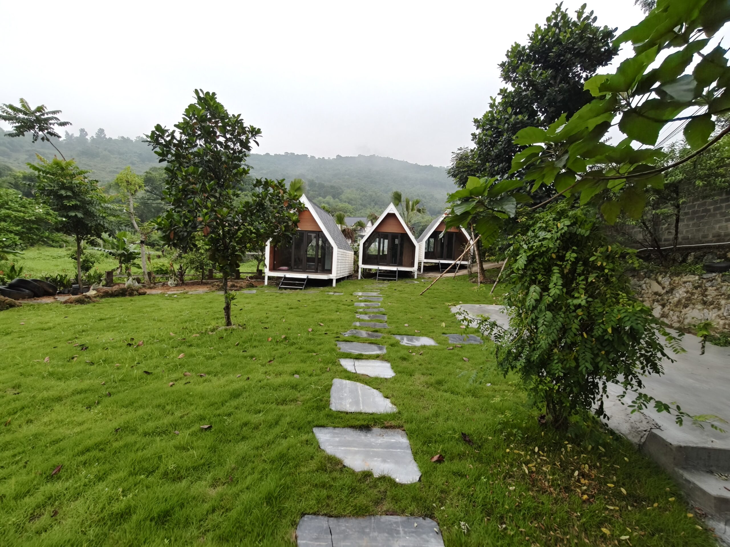 IMG20250527092539 scaled